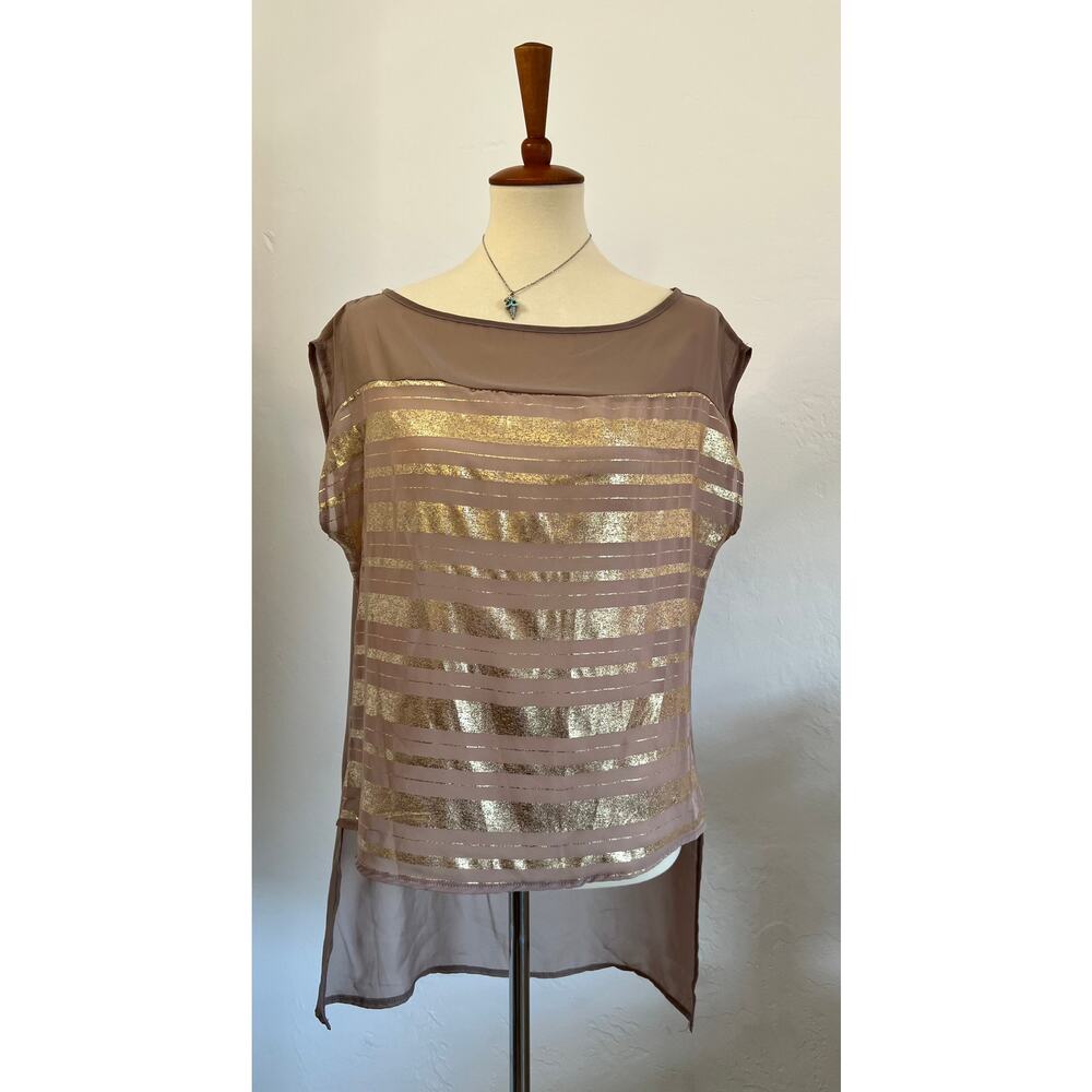 Gold Sheer Mesh Hi-Low Blouse – Size Large